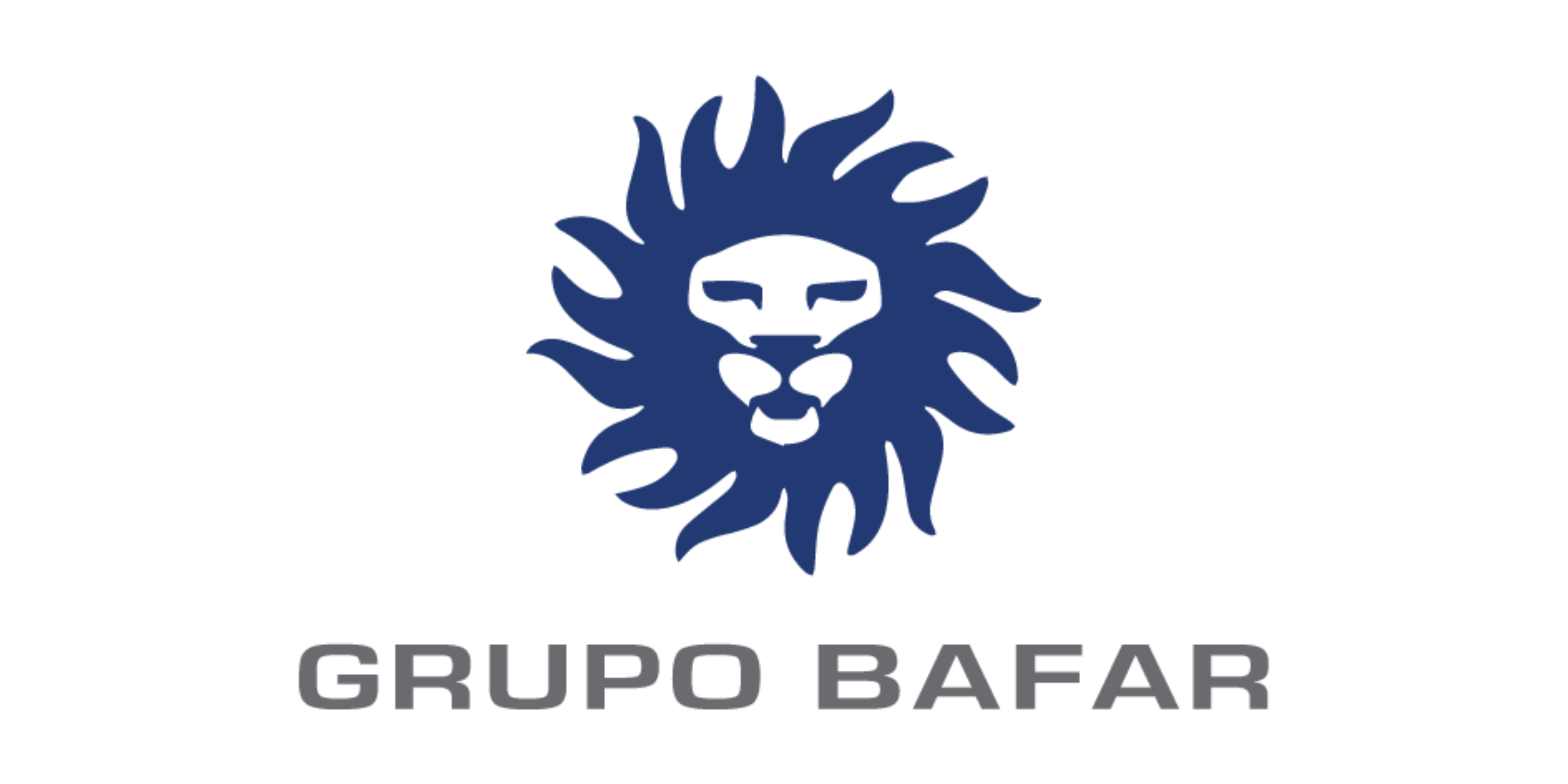 GRUPO BAFAR
